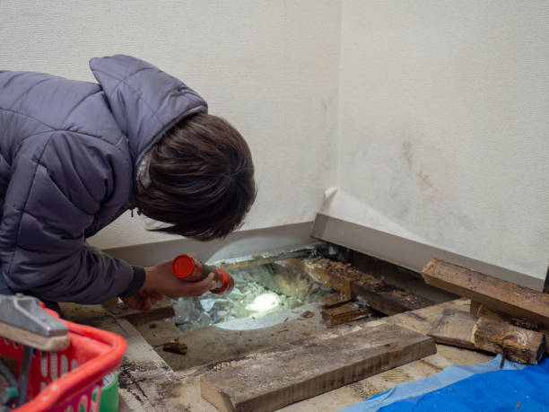 Best Dehumidification Services  in Chilton, WI