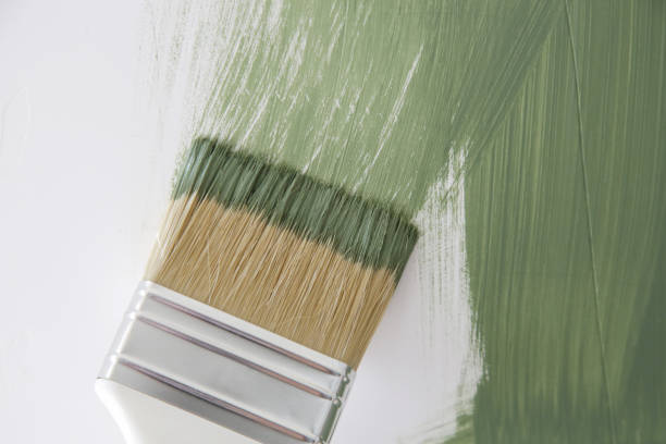 Best Black Mold Removal  in Chilton, WI