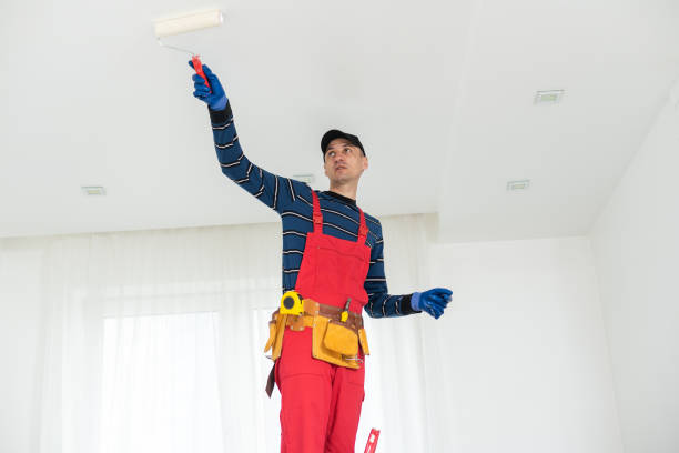 Best Crawl Space Mold Remediation  in Chilton, WI