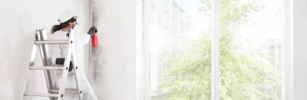 Environmental Consulting for Mold Prevention in Chilton, WI
