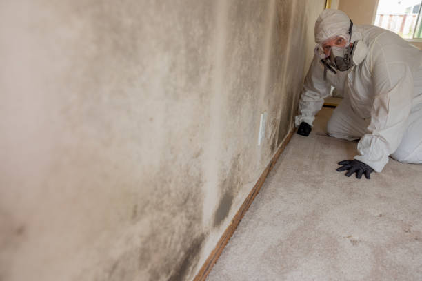 Best Air Quality Testing for Mold Spores  in Chilton, WI