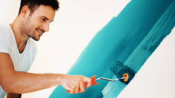 Best Black Mold Removal  in Chilton, WI